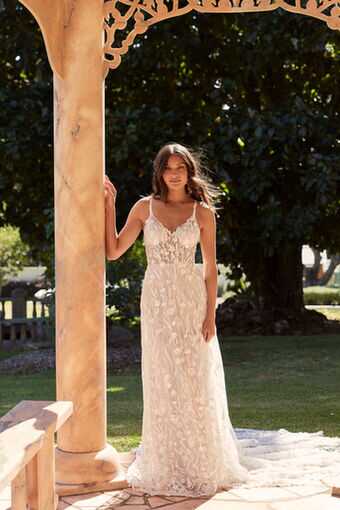 Daisy Daisy - Image 4