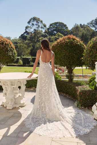 Daisy Daisy - Image 2